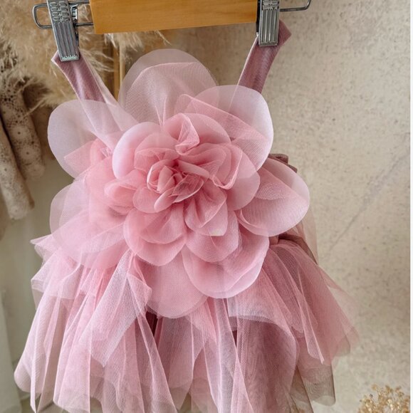 Birthday Dress / Flower Girl - Picture 1 of 3